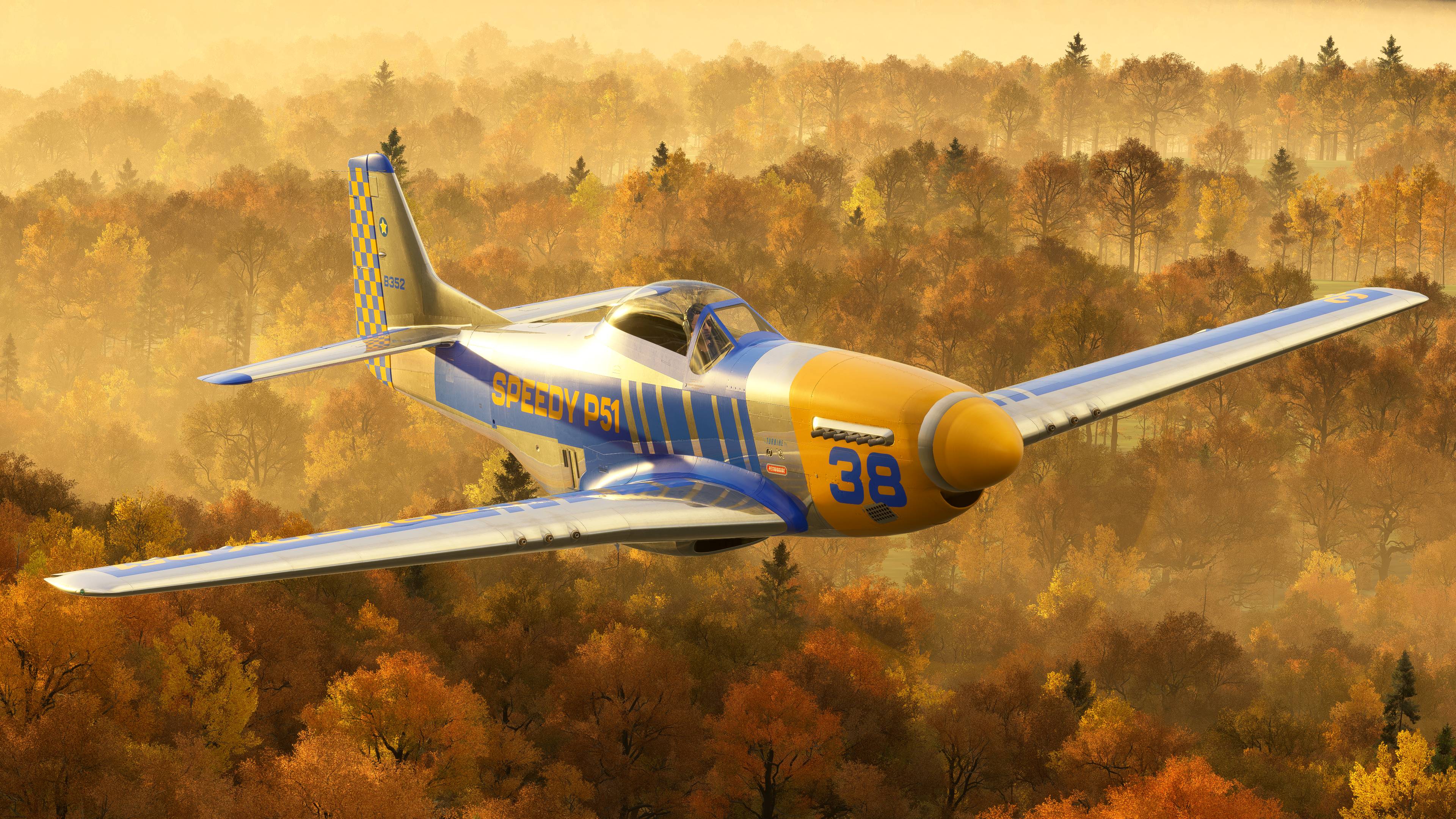 Microsoft Flight Simulator 2024 - Imagen 17